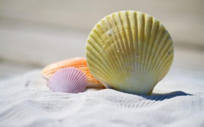 Turismo, a Roseto faccia a faccia tra le imprese del settore e gli studenti. Nel forum di oggi a Palazzo del Mare il punto sulle opportunità riservate ai giovani