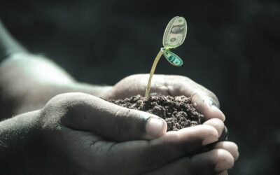 Nuova Sabatini green, le novità dal 1° luglio