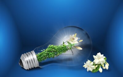 Impianti di autoproduzione elettrica, prorogati al 10 novembre i termini per i contributi