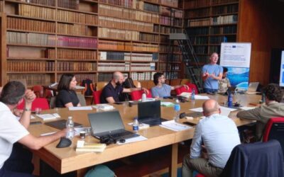 Progetto ECCENTRIC: roadmap quasi pronte
