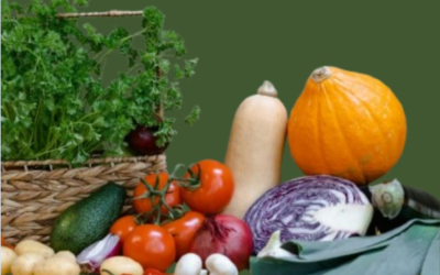 A tavola con la qualità: martedì seminario formativo all’Aquila